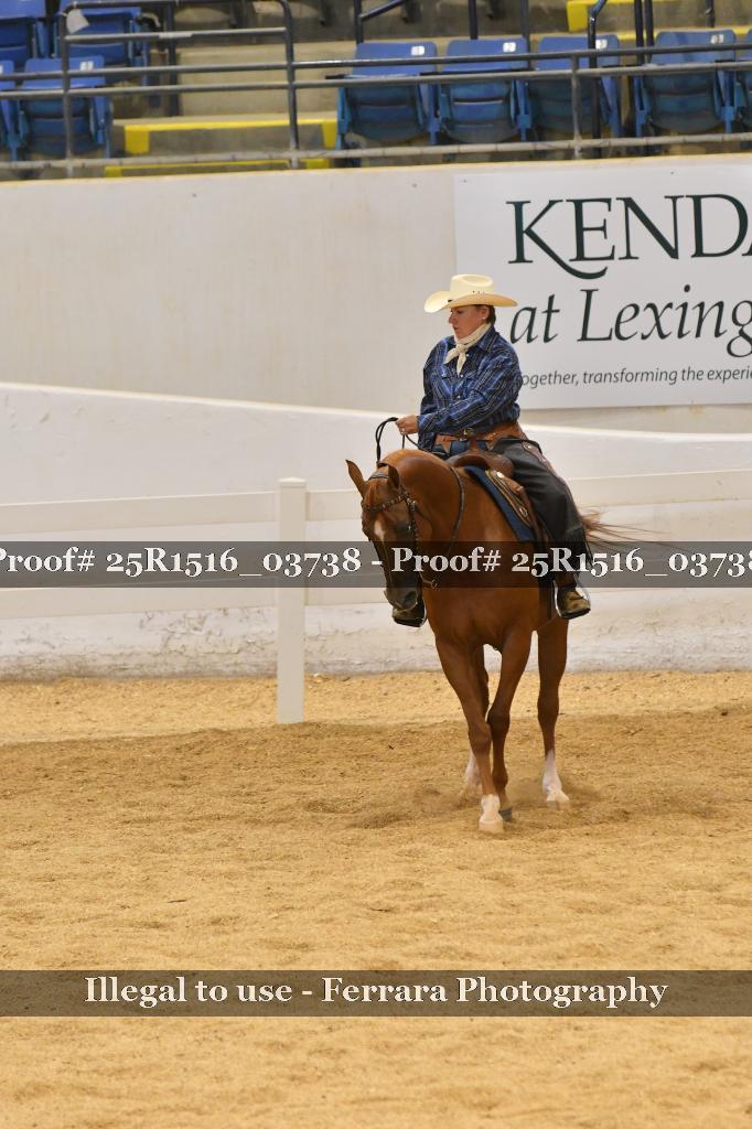 Proof Number 25R1516_03738