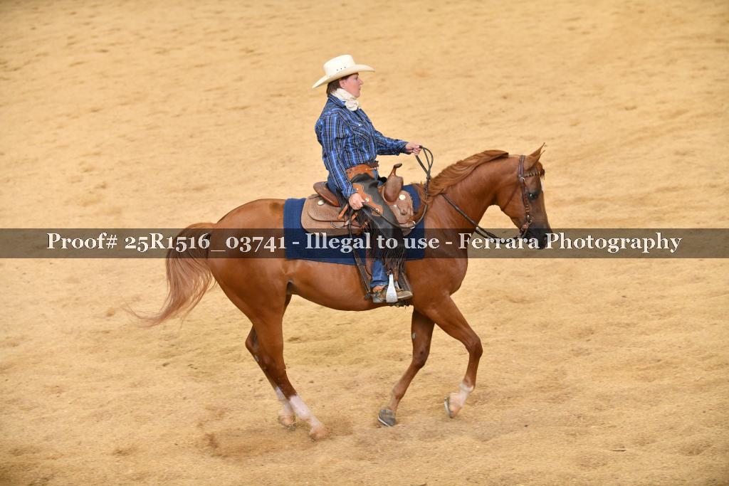Proof Number 25R1516_03741