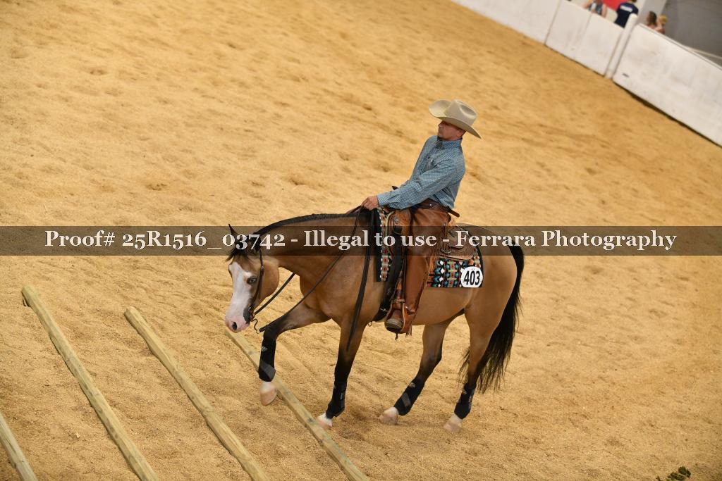 Proof Number 25R1516_03742
