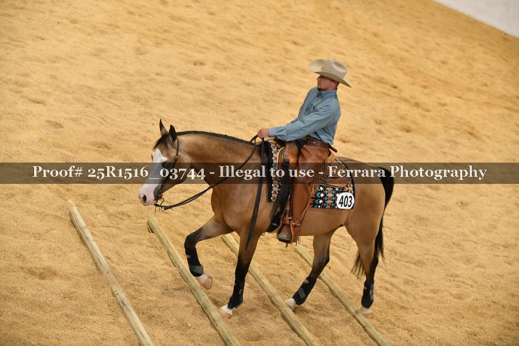 Proof Number 25R1516_03744