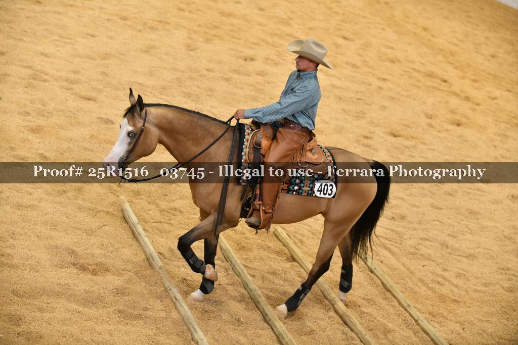 Proof Number 25R1516_03745
