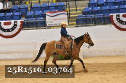 25R1516_03764 thumbnail