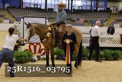 25R1516_03795 thumbnail