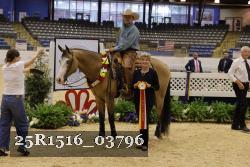 25R1516_03796 thumbnail