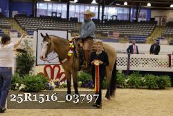25R1516_03797 thumbnail