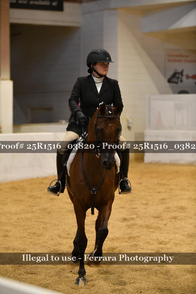 Proof Number 25R1516_03820