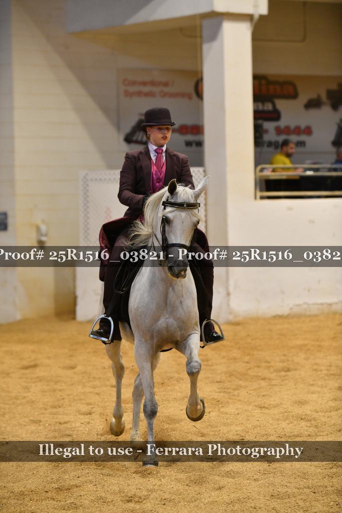 Proof Number 25R1516_03821