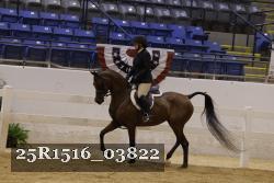 25R1516_03822 thumbnail
