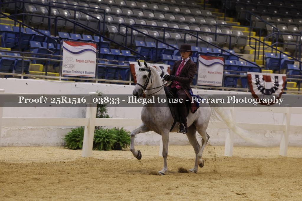 Proof Number 25R1516_03833