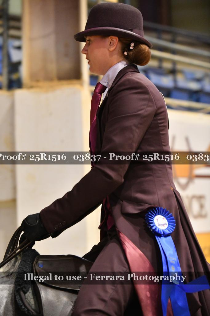 Proof Number 25R1516_03837