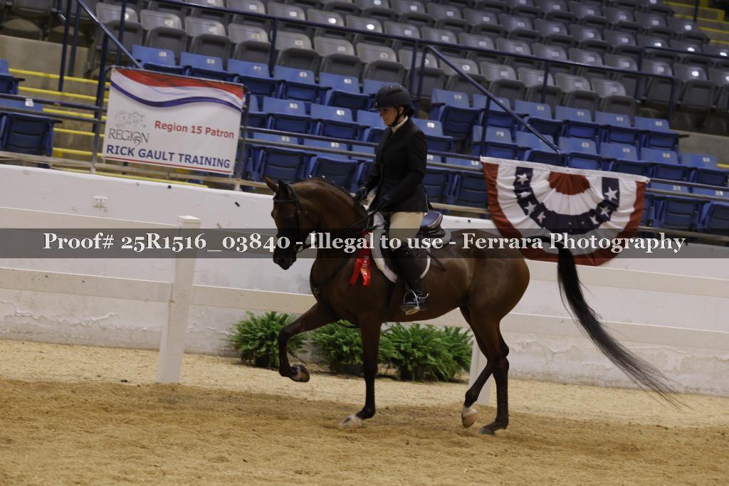 Proof Number 25R1516_03840