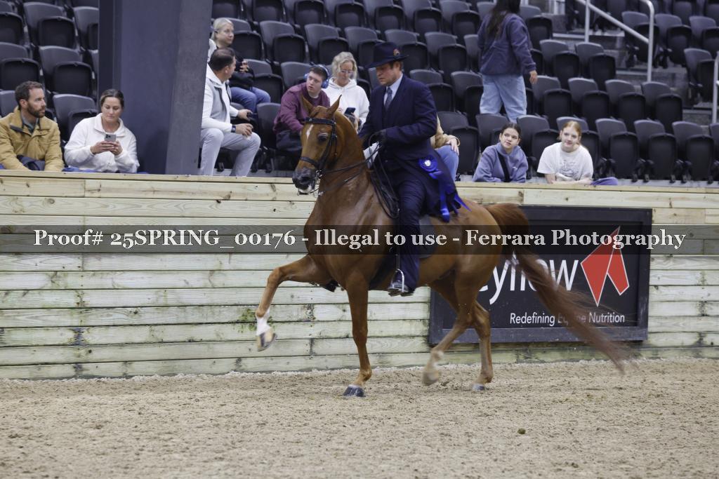 Proof Number 25SPRING_00176