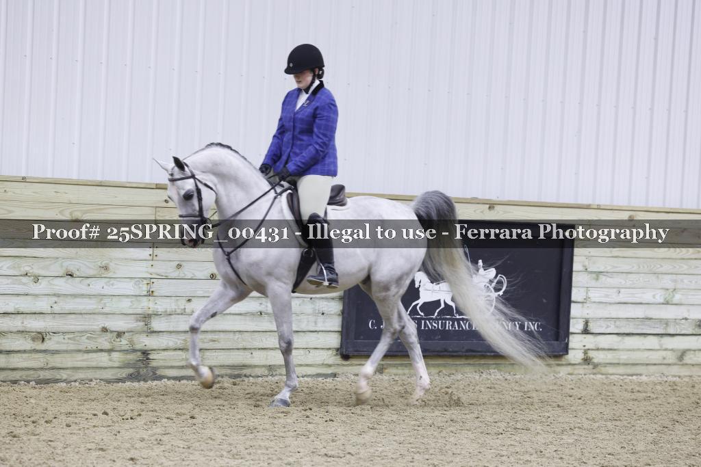 Proof Number 25SPRING_00431