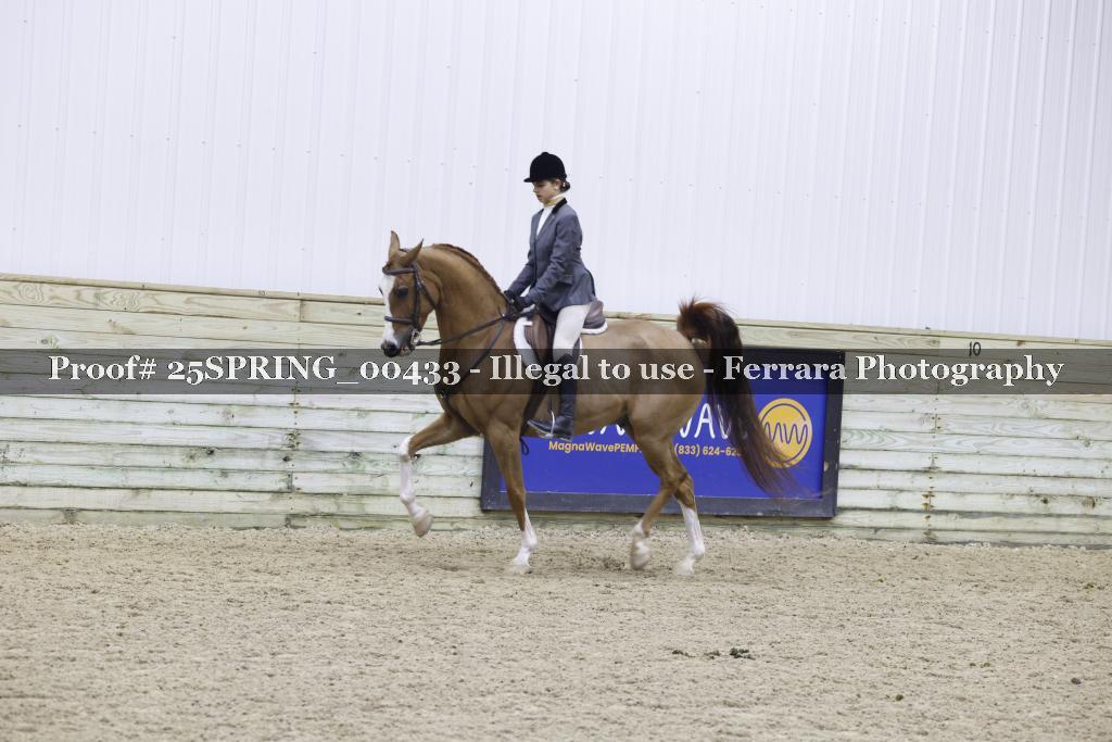 Proof Number 25SPRING_00433
