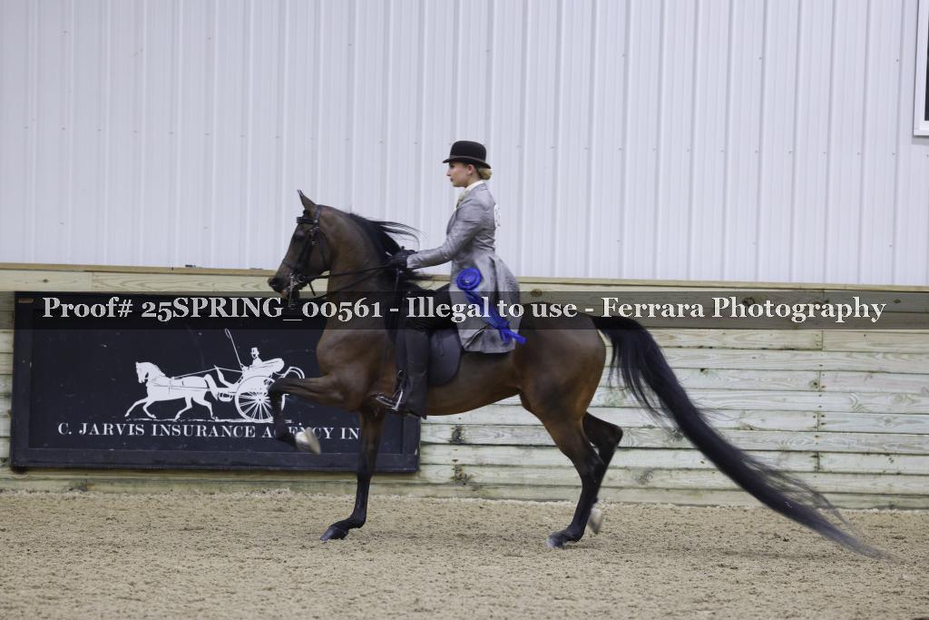 Proof Number 25SPRING_00561