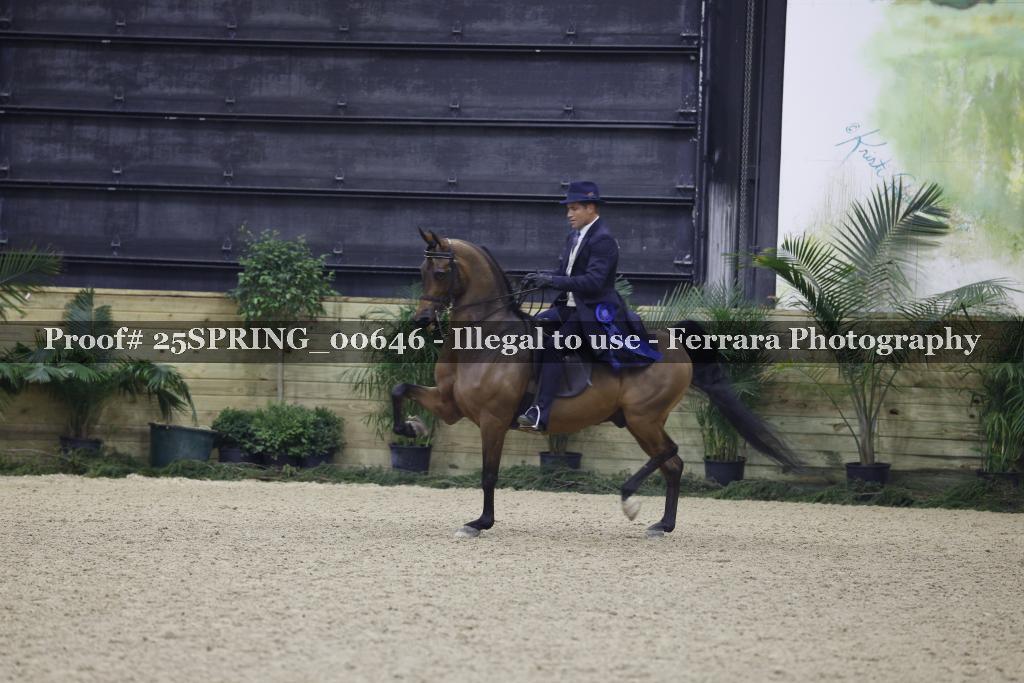 Proof Number 25SPRING_00646