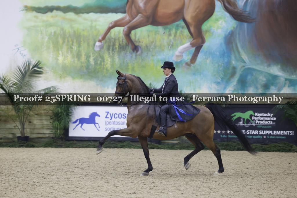 Proof Number 25SPRING_00727