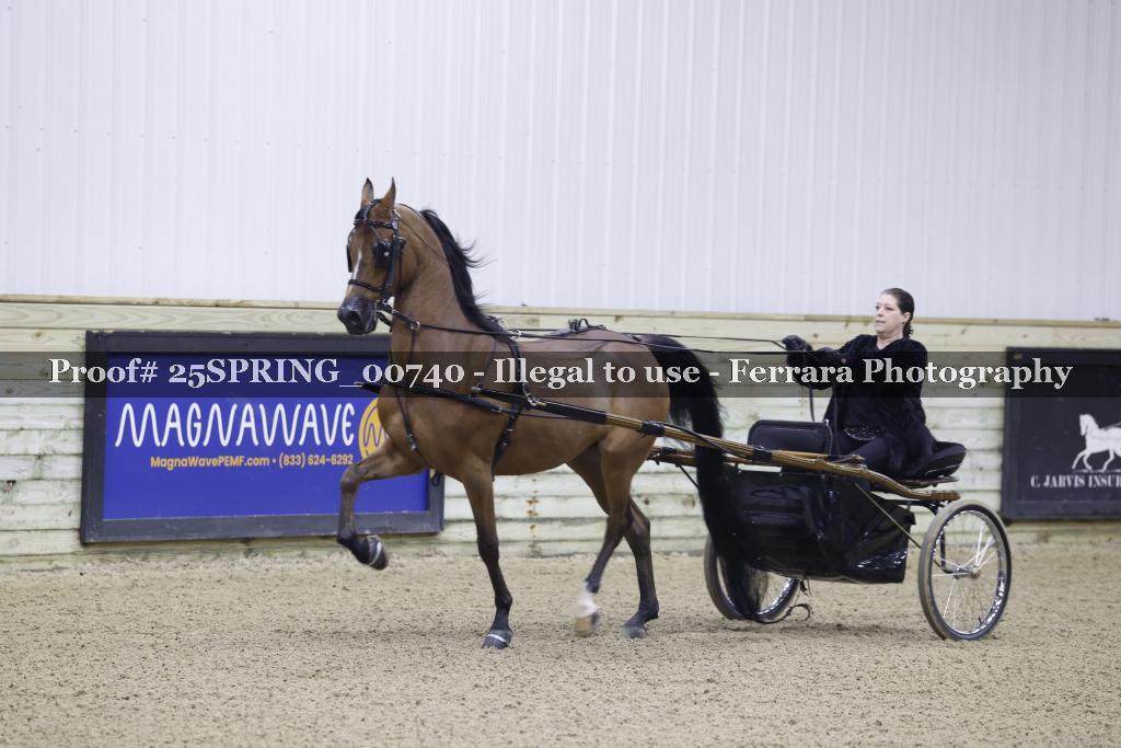 Proof Number 25SPRING_00740