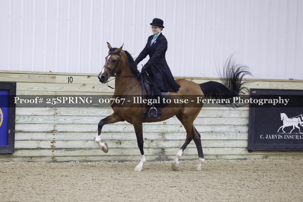 Proof Number 25SPRING_00767