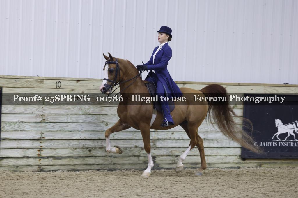 Proof Number 25SPRING_00786