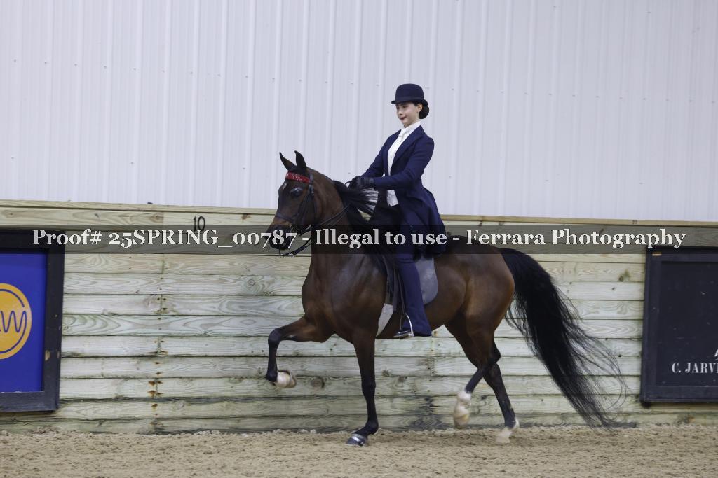 Proof Number 25SPRING_00787