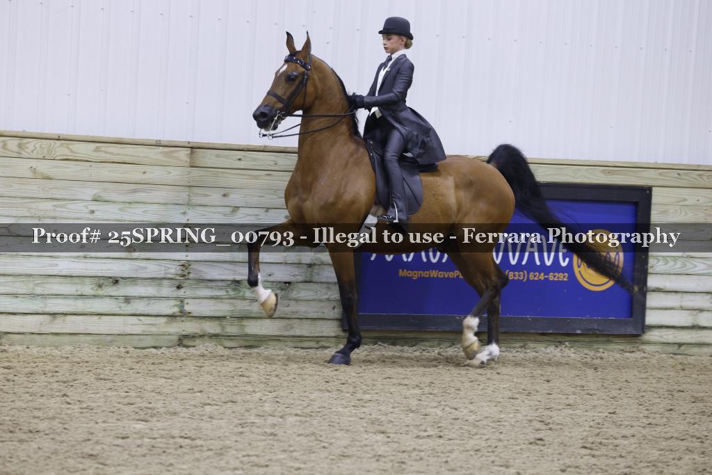 Proof Number 25SPRING_00793