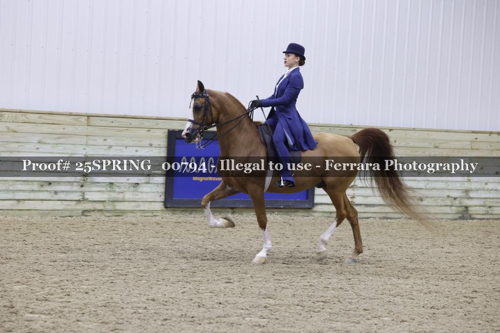 Proof Number 25SPRING_00794