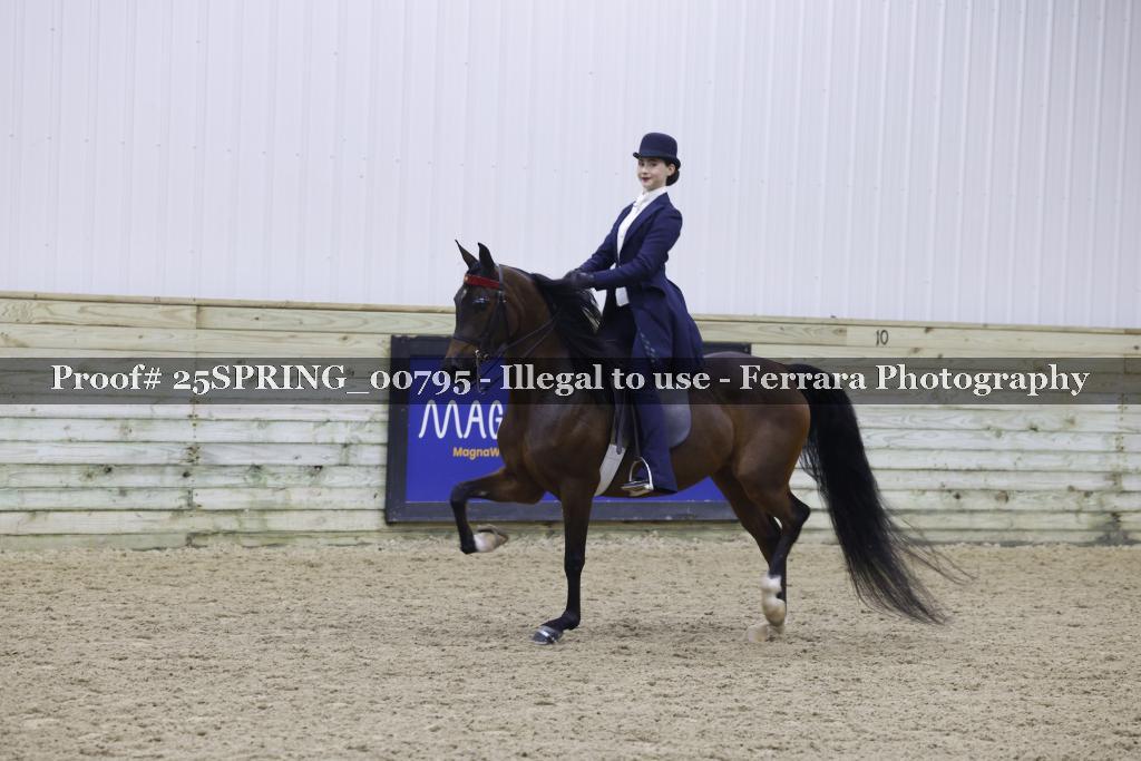 Proof Number 25SPRING_00795