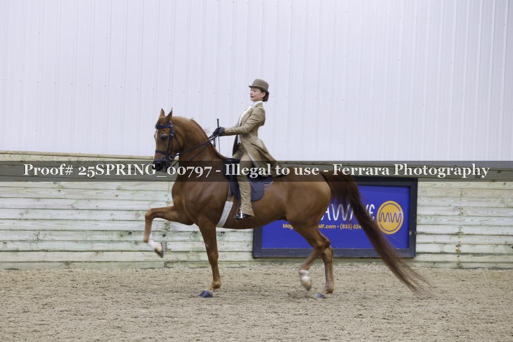 Proof Number 25SPRING_00797