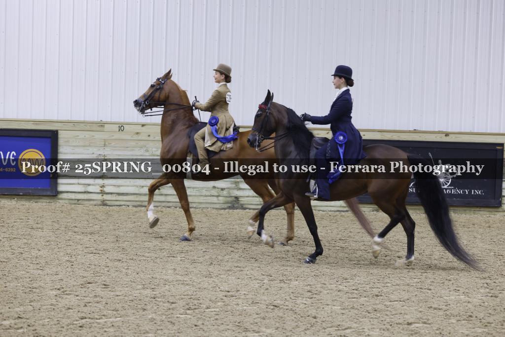 Proof Number 25SPRING_00804