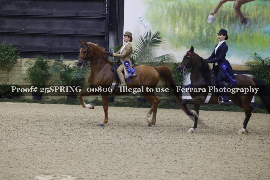Proof Number 25SPRING_00806