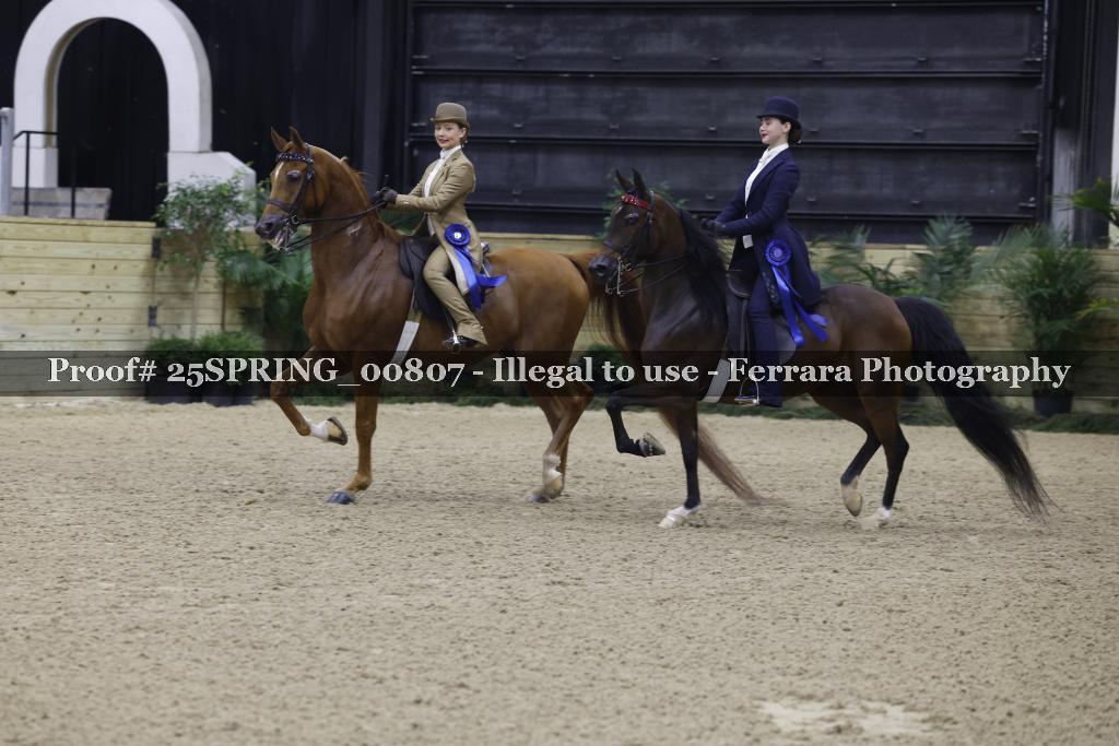 Proof Number 25SPRING_00807