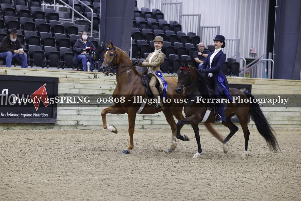 Proof Number 25SPRING_00808