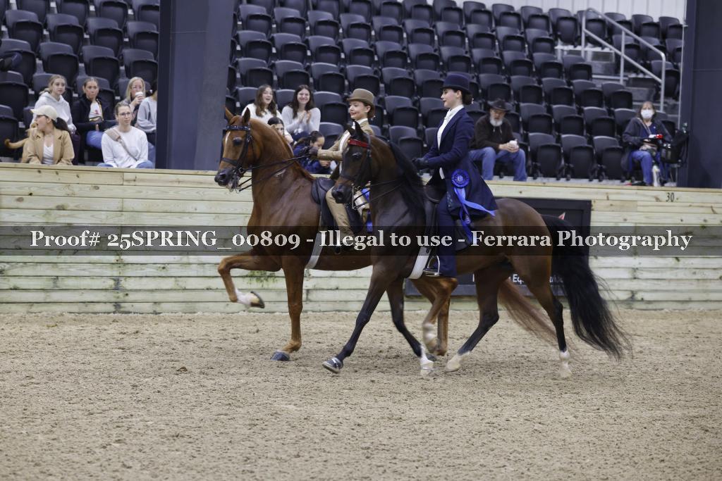 Proof Number 25SPRING_00809