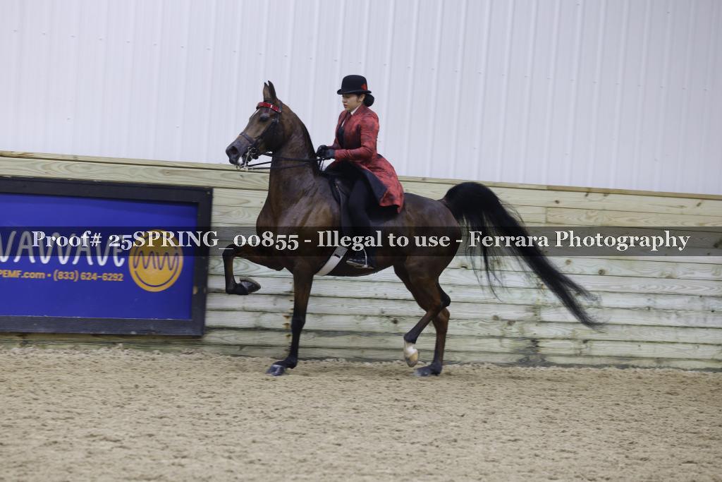 Proof Number 25SPRING_00855
