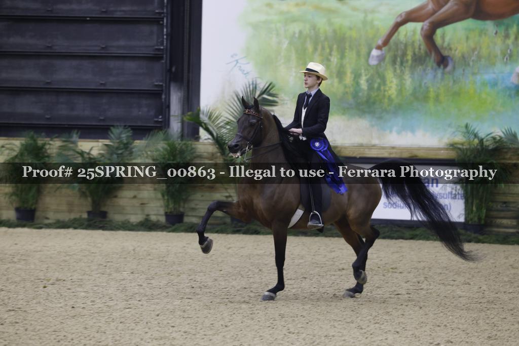Proof Number 25SPRING_00863