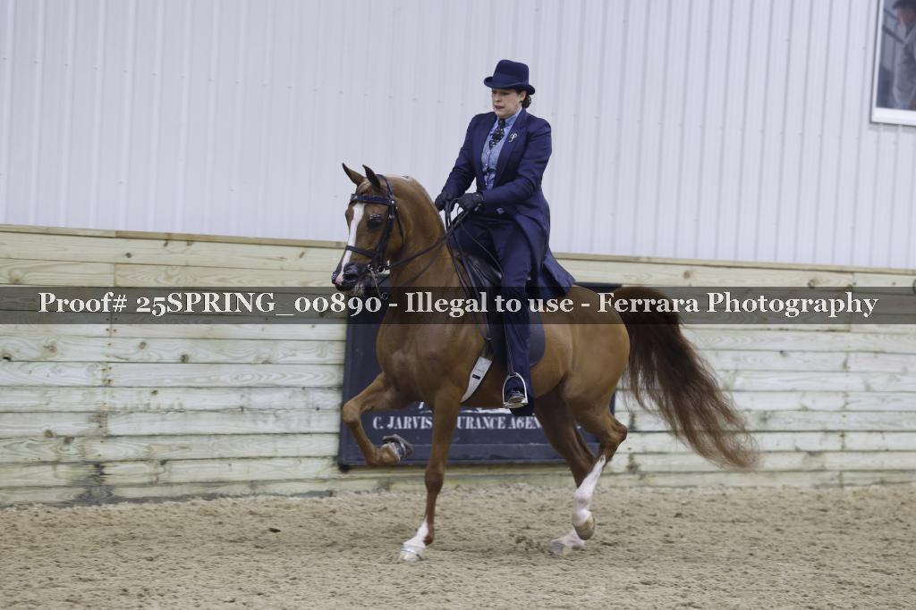Proof Number 25SPRING_00890