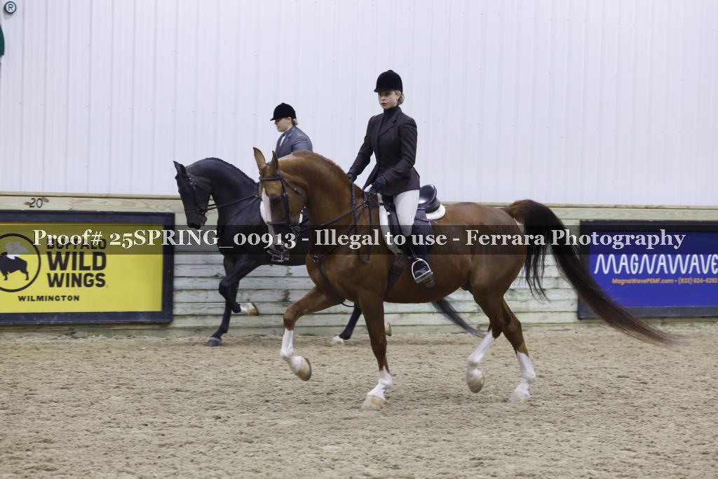 Proof Number 25SPRING_00913