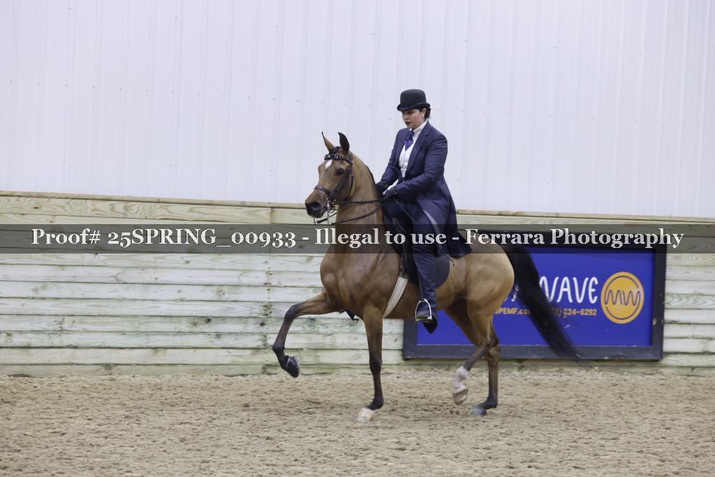 Proof Number 25SPRING_00933