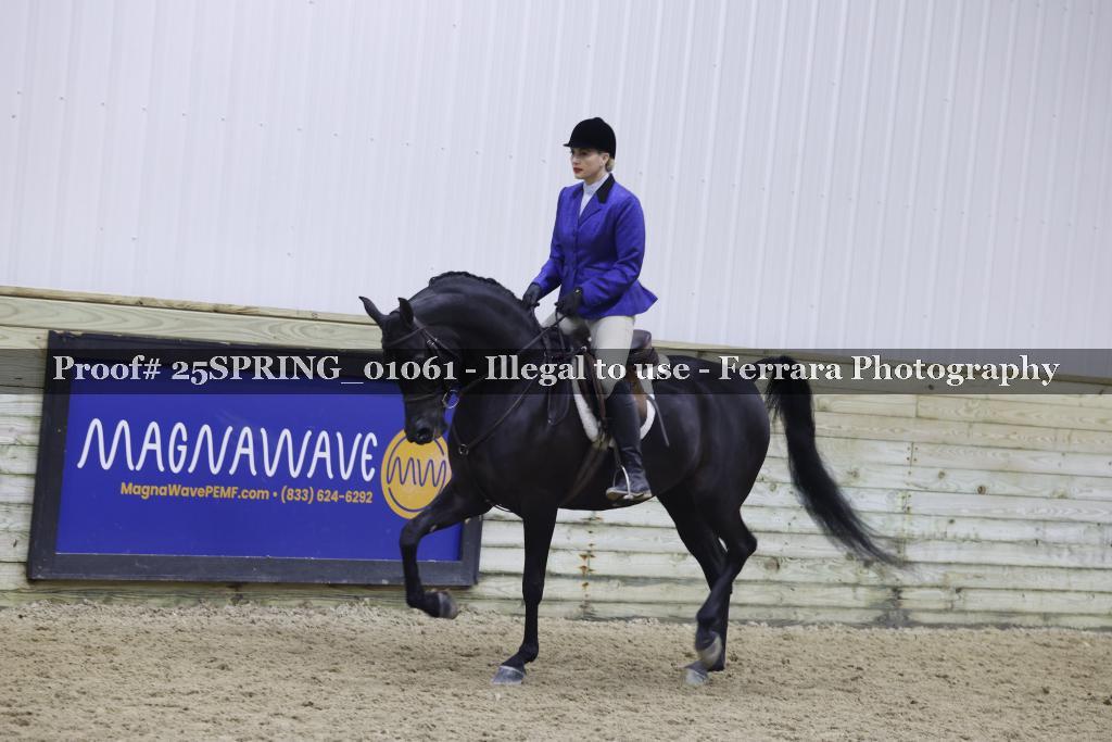 Proof Number 25SPRING_01061