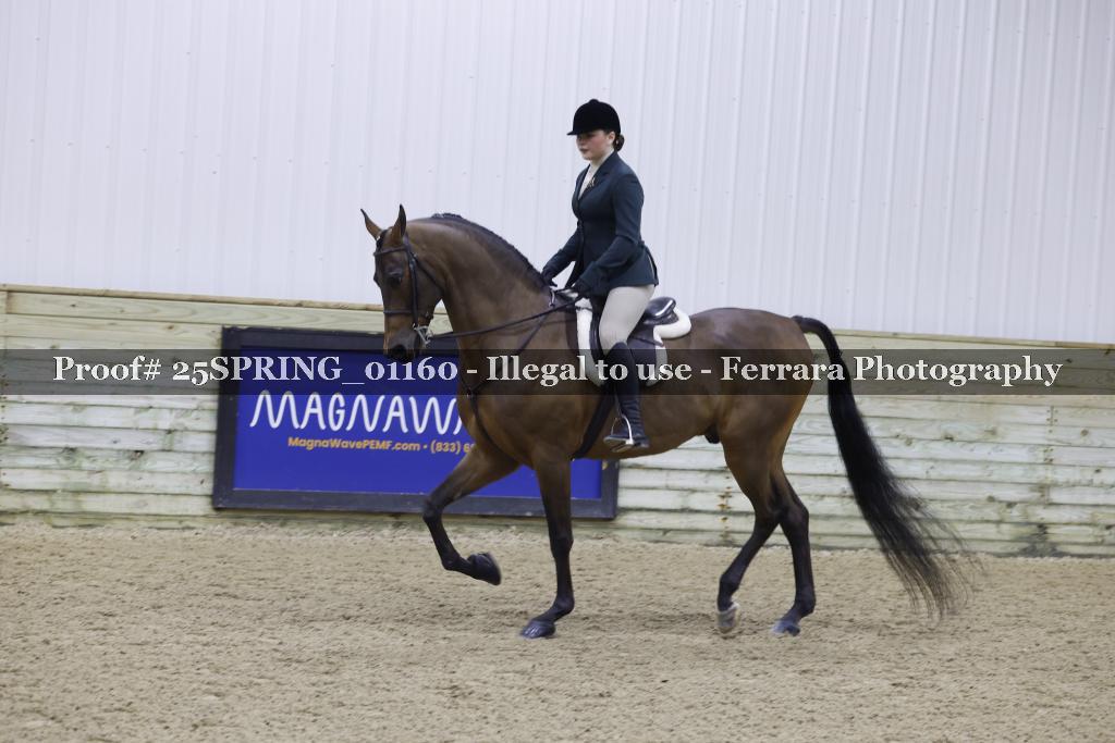 Proof Number 25SPRING_01160