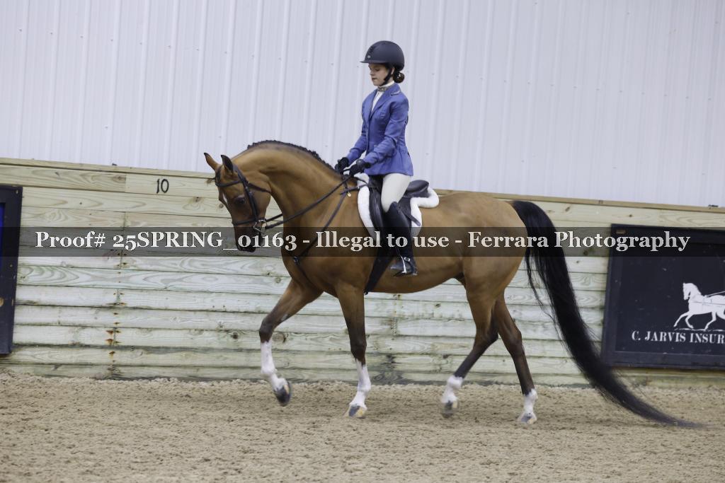 Proof Number 25SPRING_01163