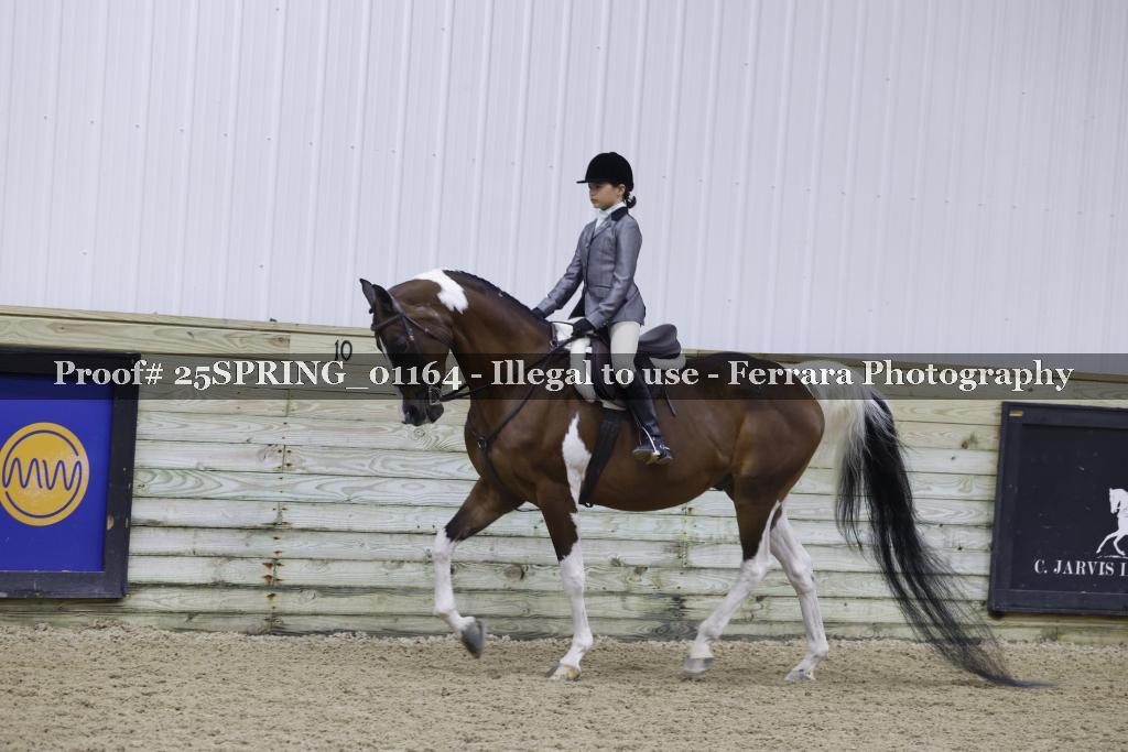 Proof Number 25SPRING_01164