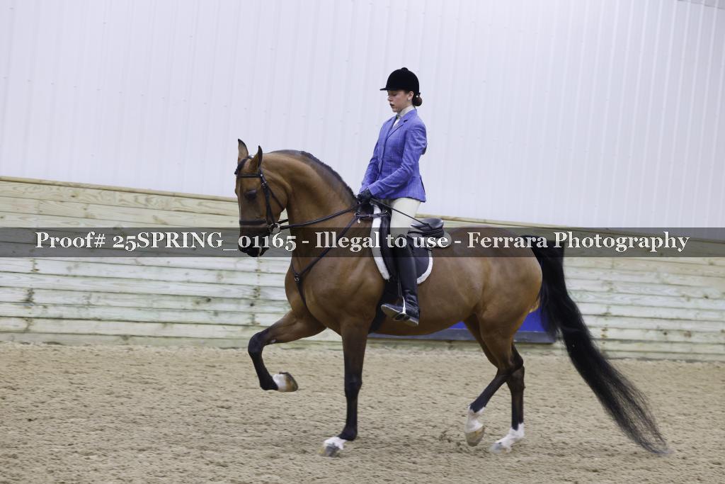 Proof Number 25SPRING_01165