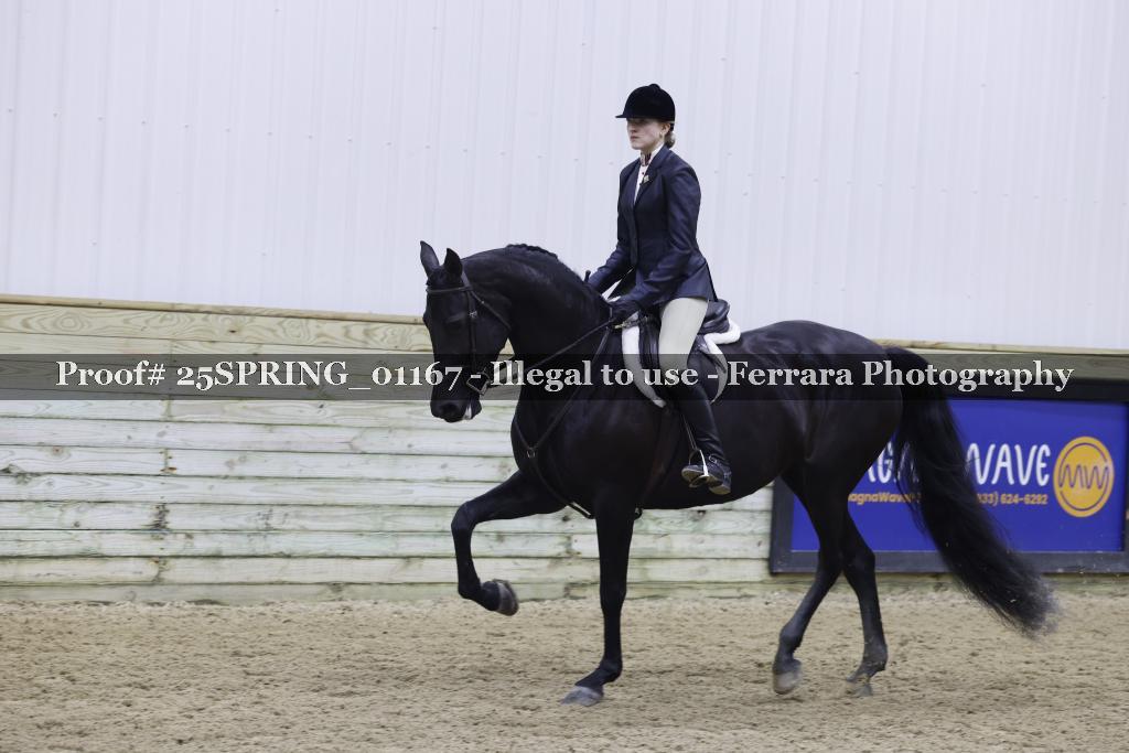 Proof Number 25SPRING_01167