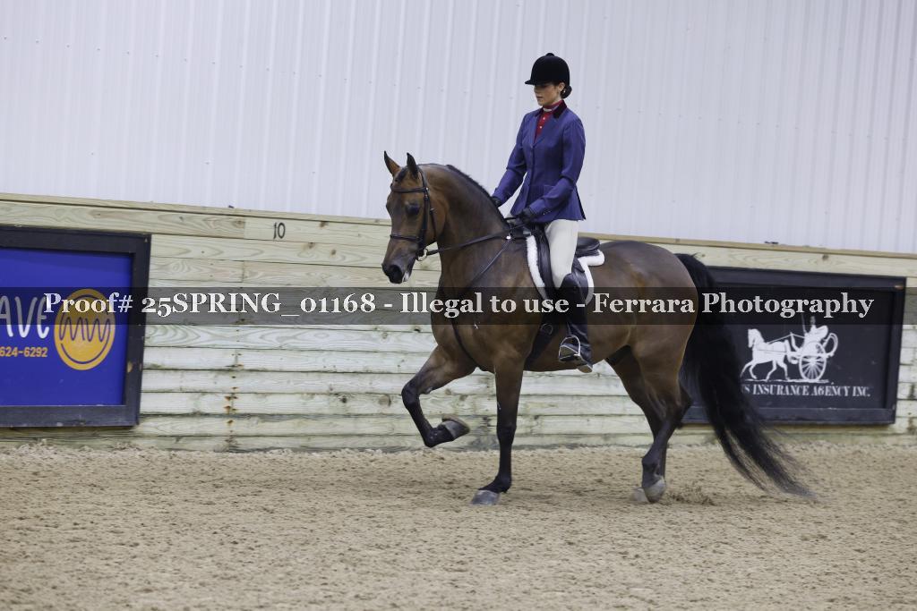 Proof Number 25SPRING_01168