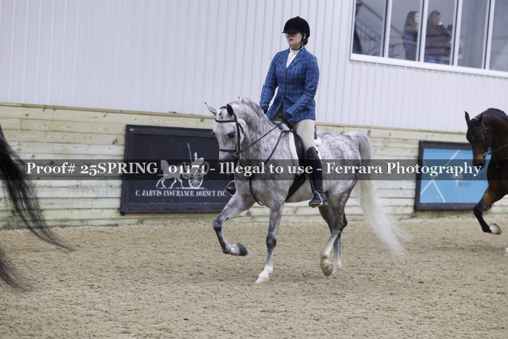 Proof Number 25SPRING_01171