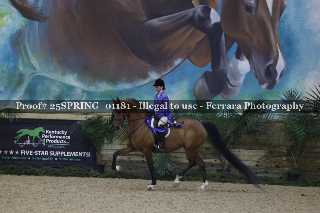 Proof Number 25SPRING_01181