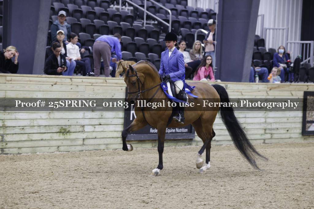 Proof Number 25SPRING_01183