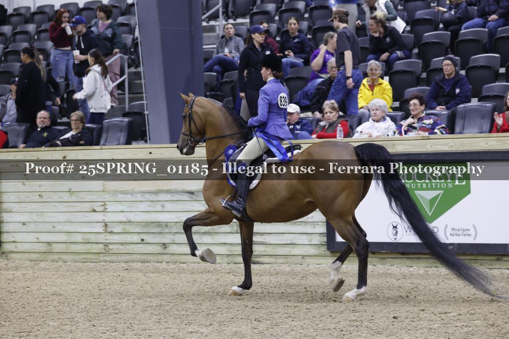 Proof Number 25SPRING_01185